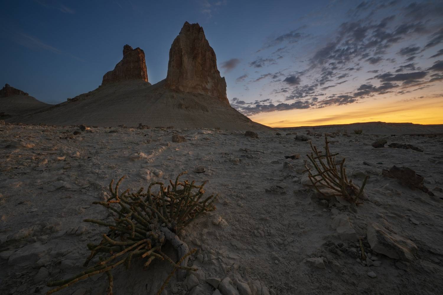 , Ширгин Сергей