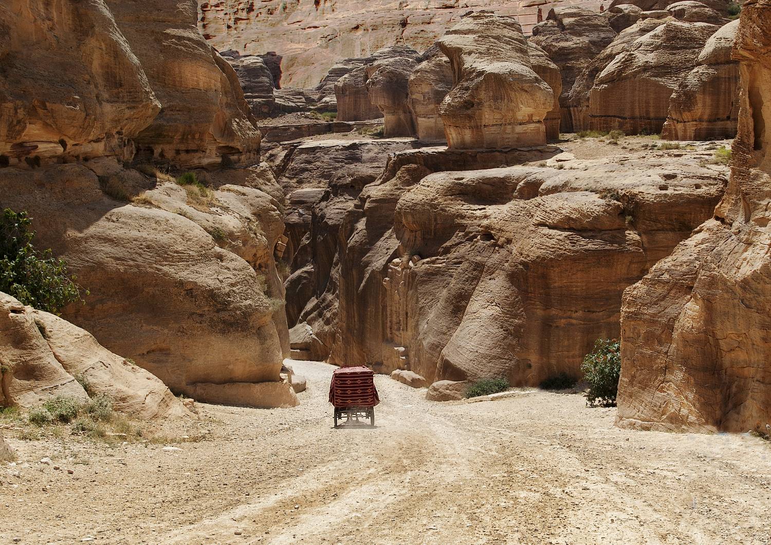 петра, иордания, бричка, двуколка, дорога, путь, Ходос Илья