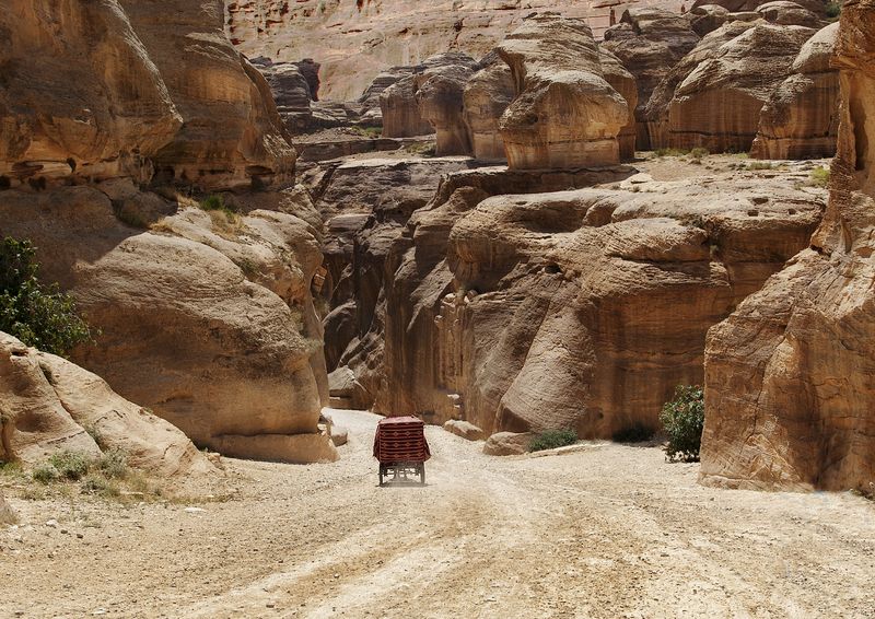 петра, иордания, бричка, двуколка, дорога, путь Дорога в Петру фото превью