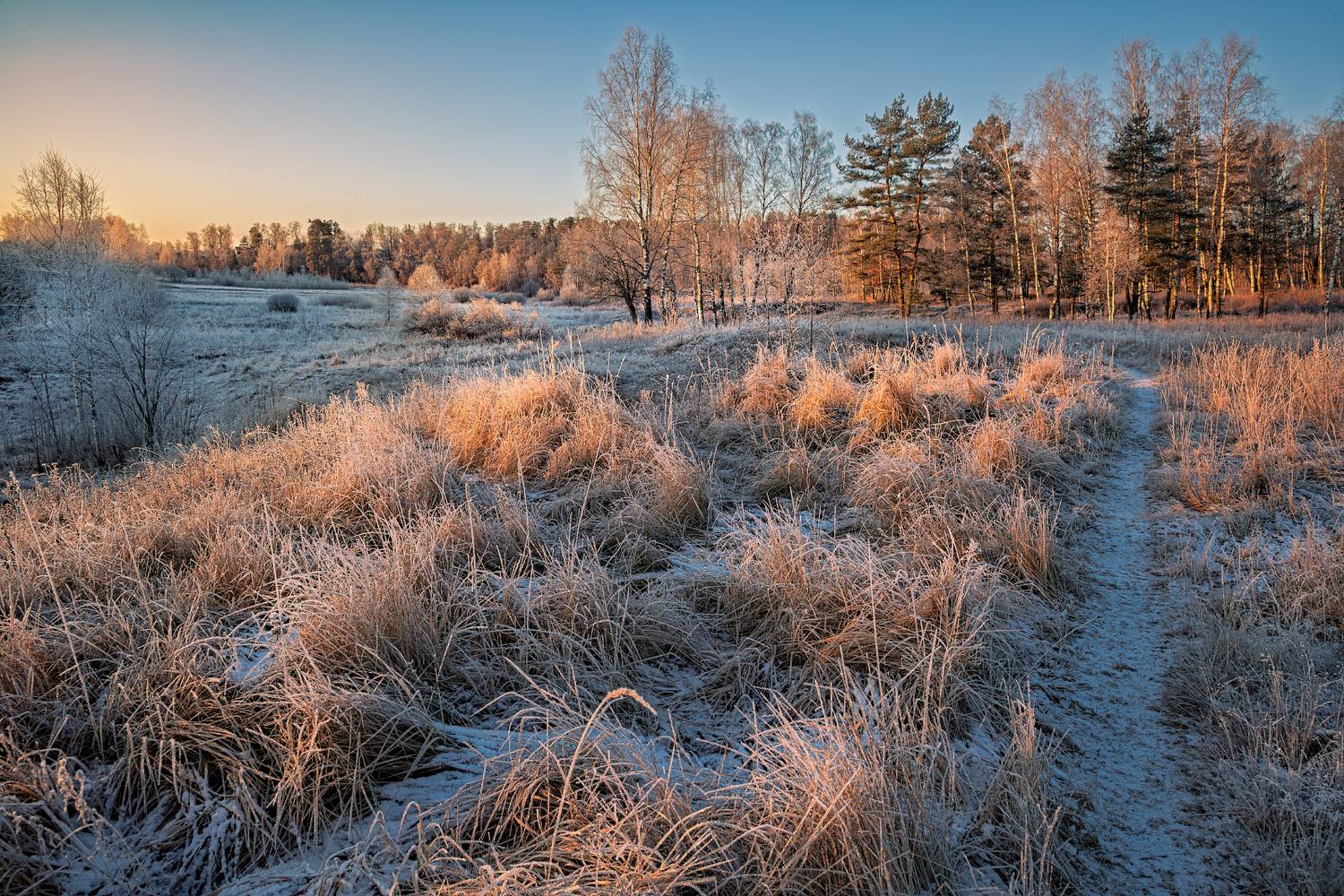 , Евгений Ерохин