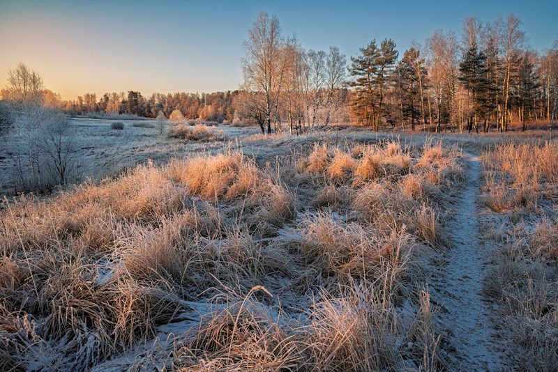 * фото превью