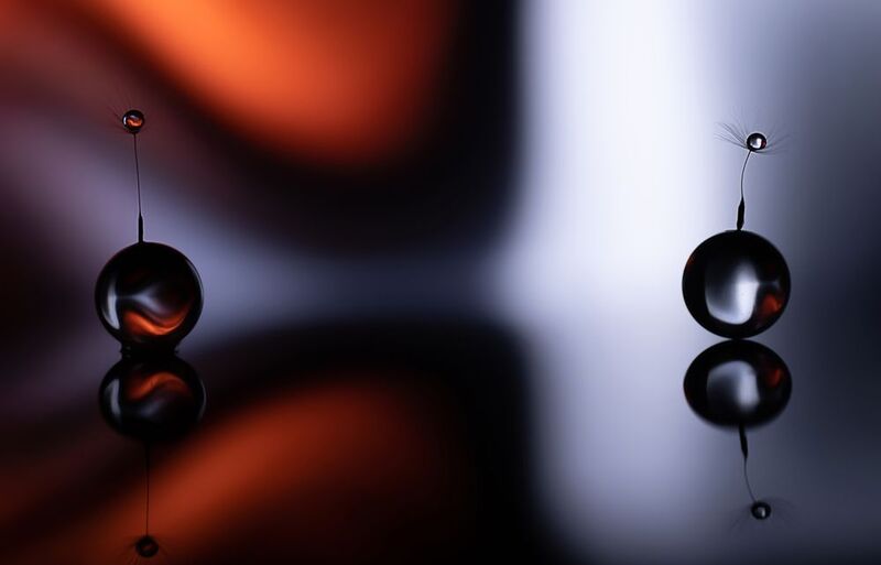 макро, макрофотография, арт фотография, капли, macro, art Ангелы и демоны фото превью