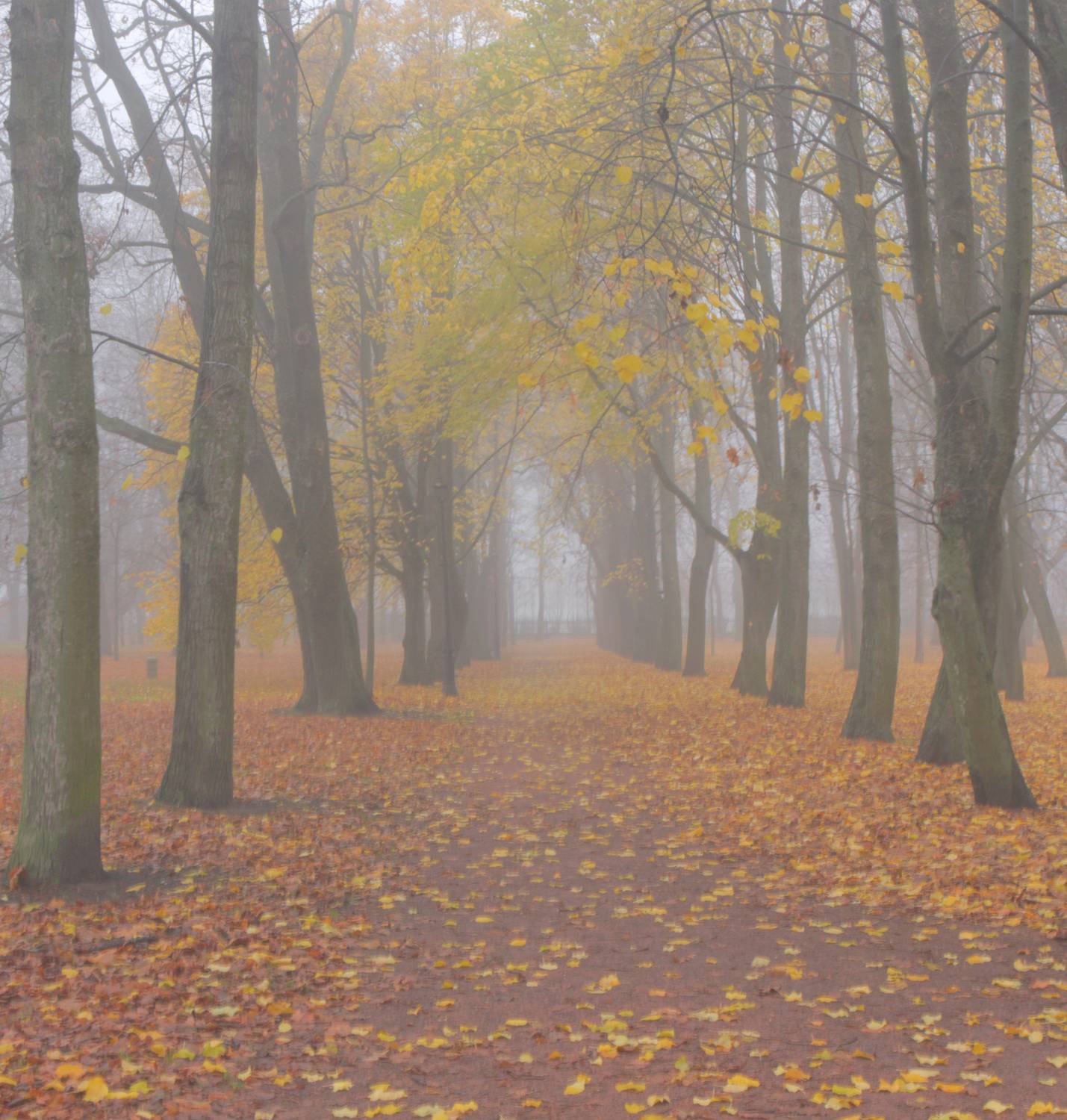 , Сергей Григорьев