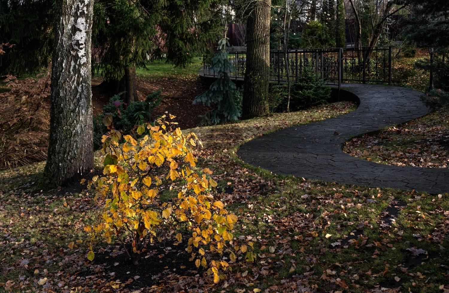 , Курлянцев Алексей