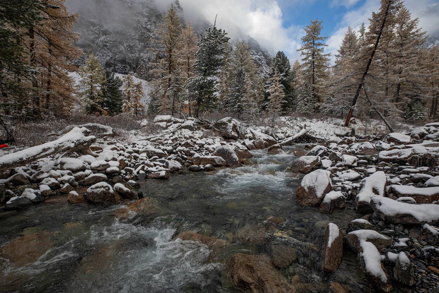 , Бирюков Вячеслав