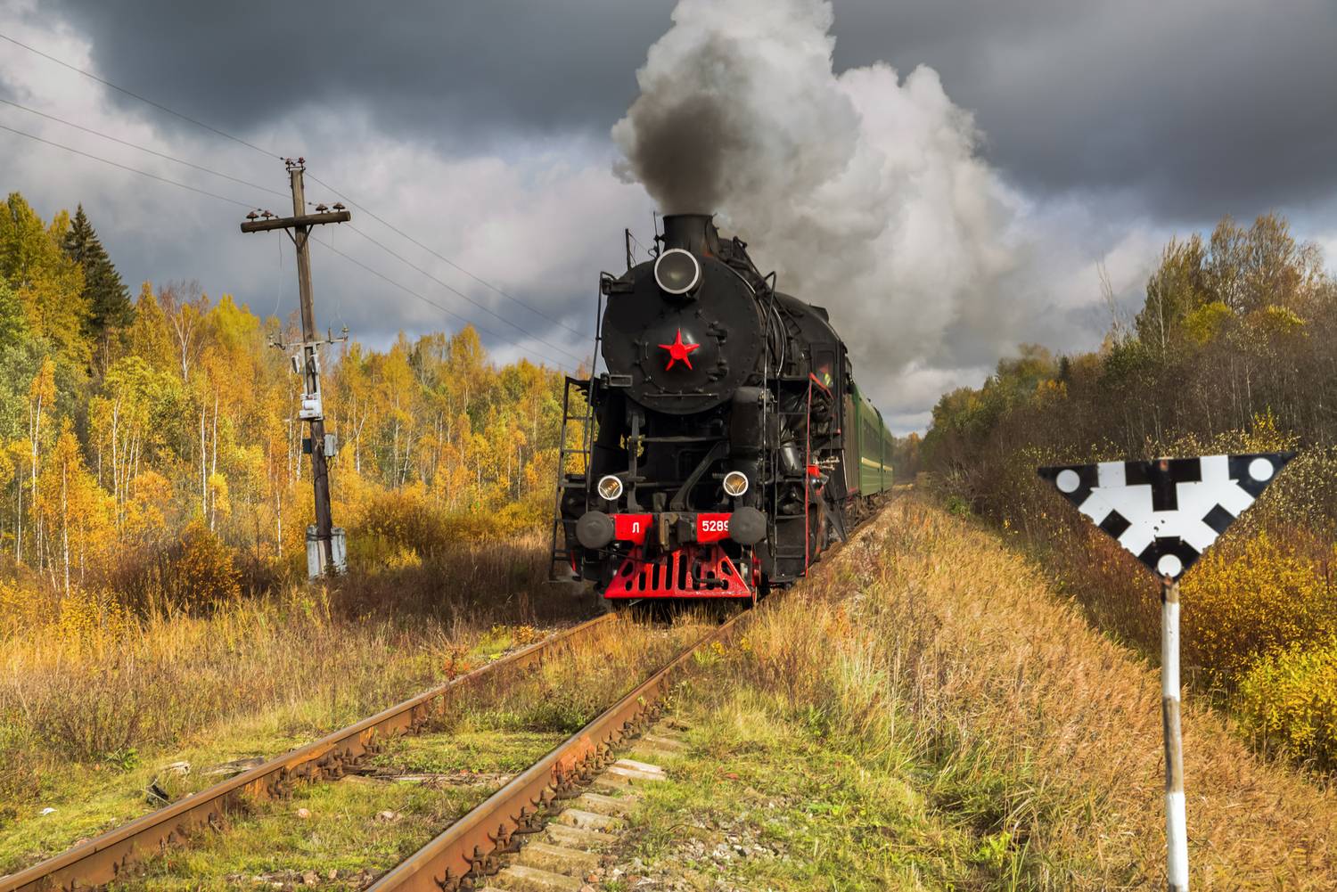 локомотив, паровоз, осень, пейзаж, Мурзинов Виктор