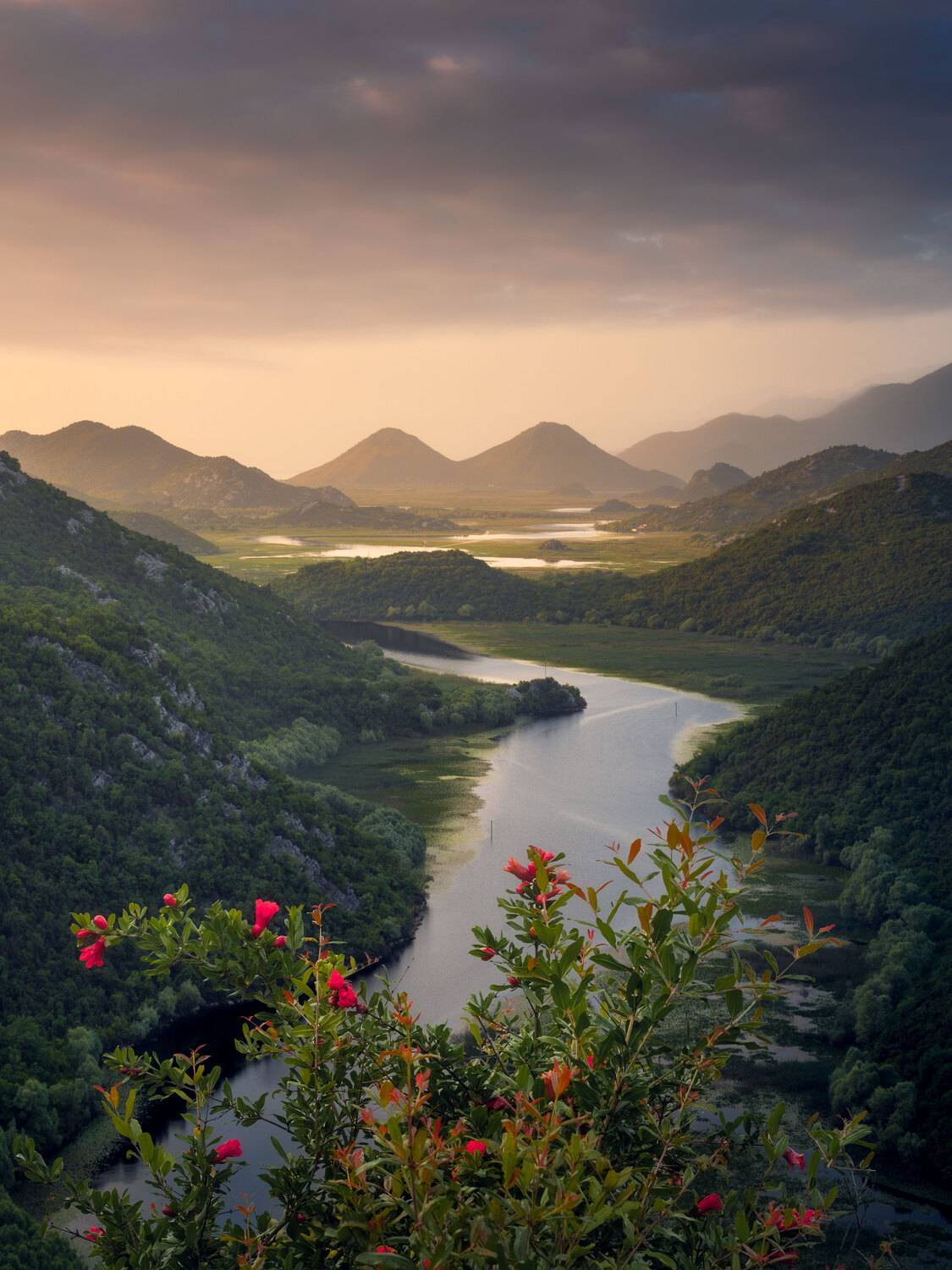 , Вукотић Никола