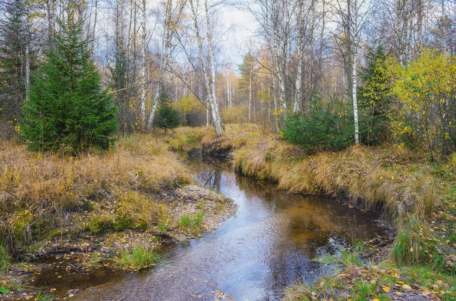 , Панова Зоя