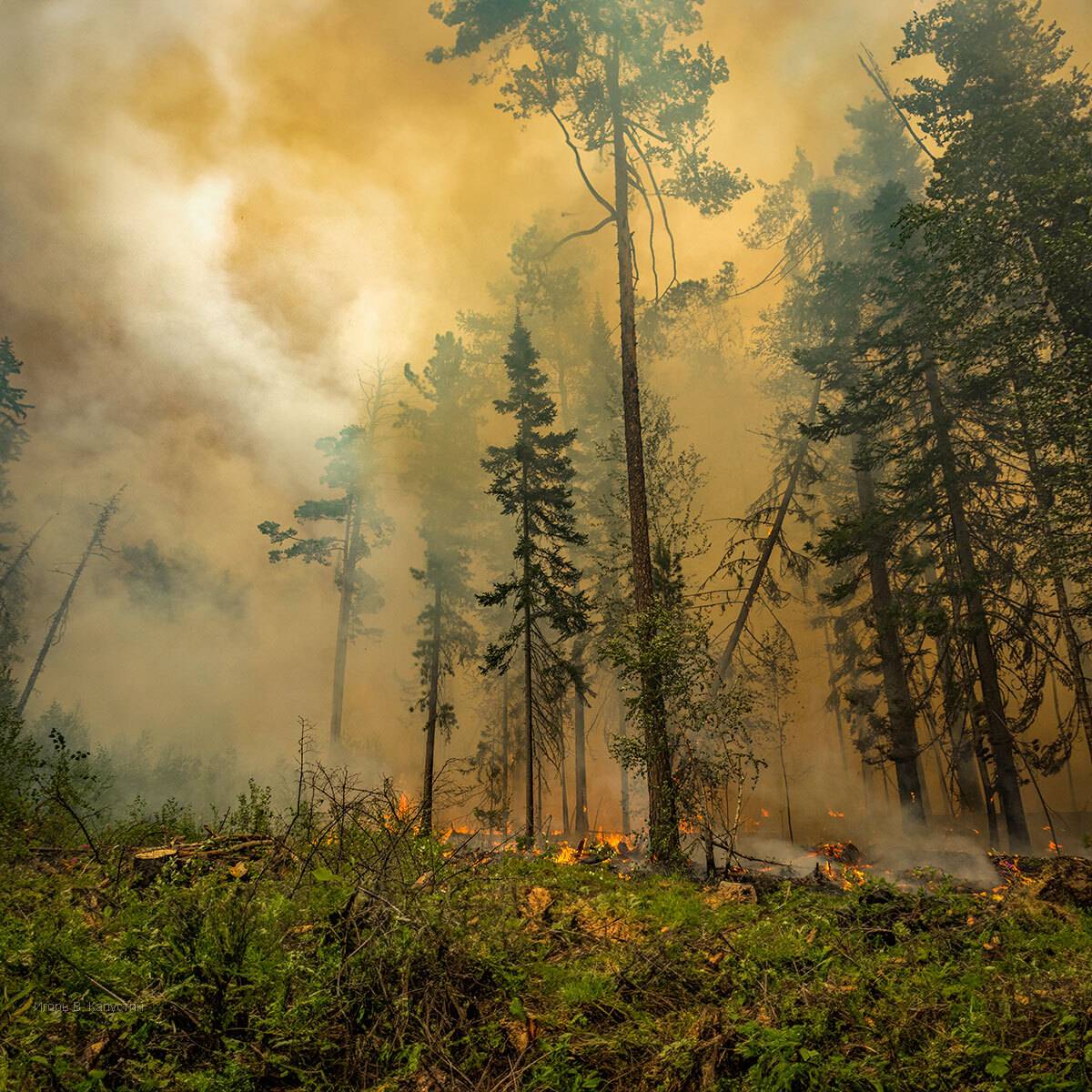 , Капустин Игорь