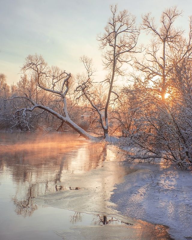 Морозный январь фото превью