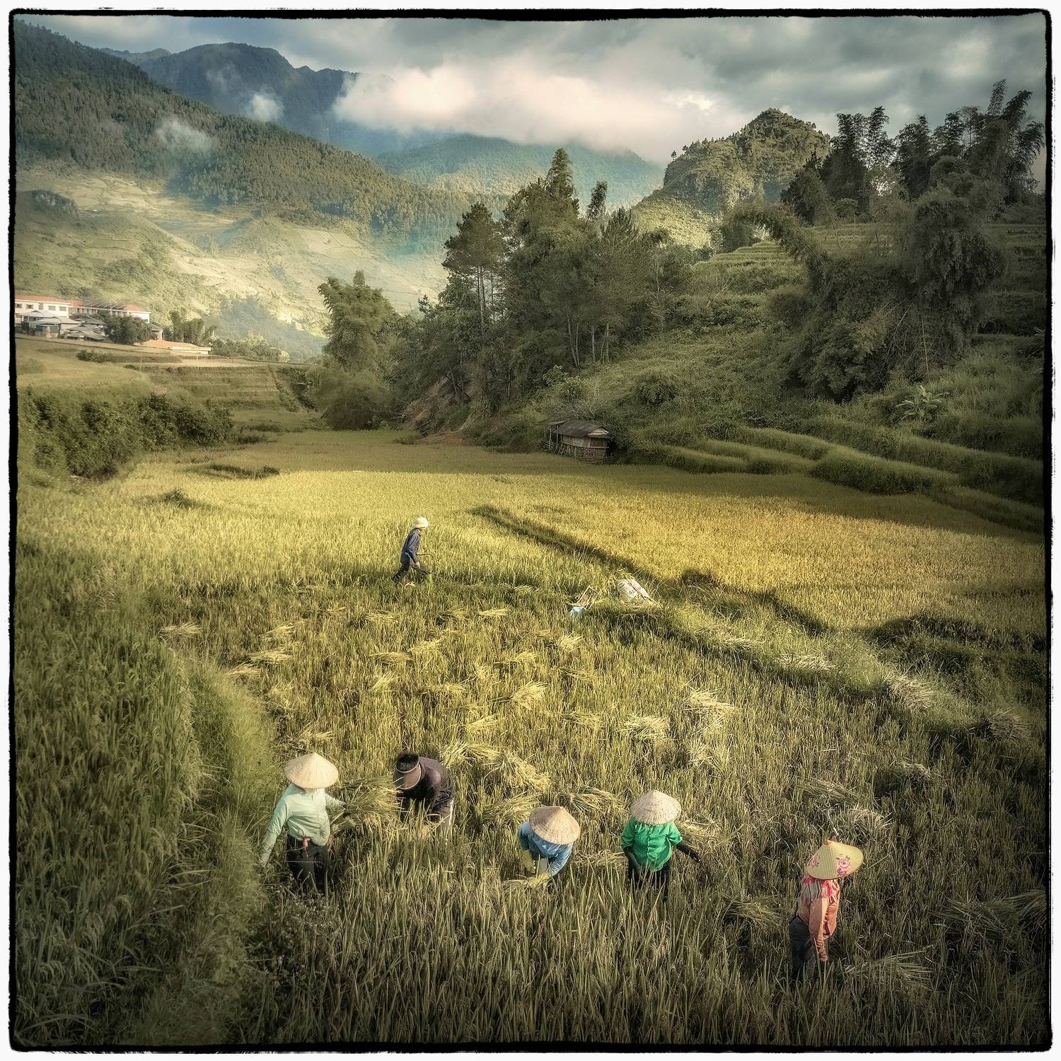 , Поляков Владимир