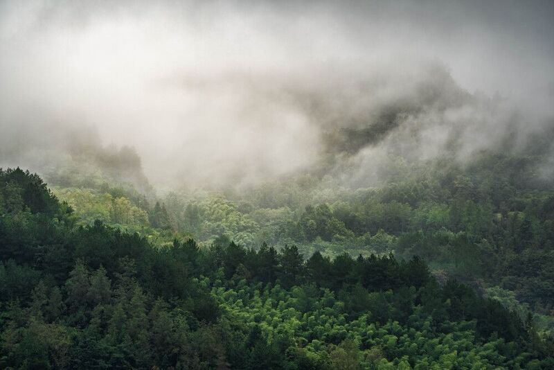 Утро в Чжанцзяцзе… Morning in Zhangjiajie... фото превью
