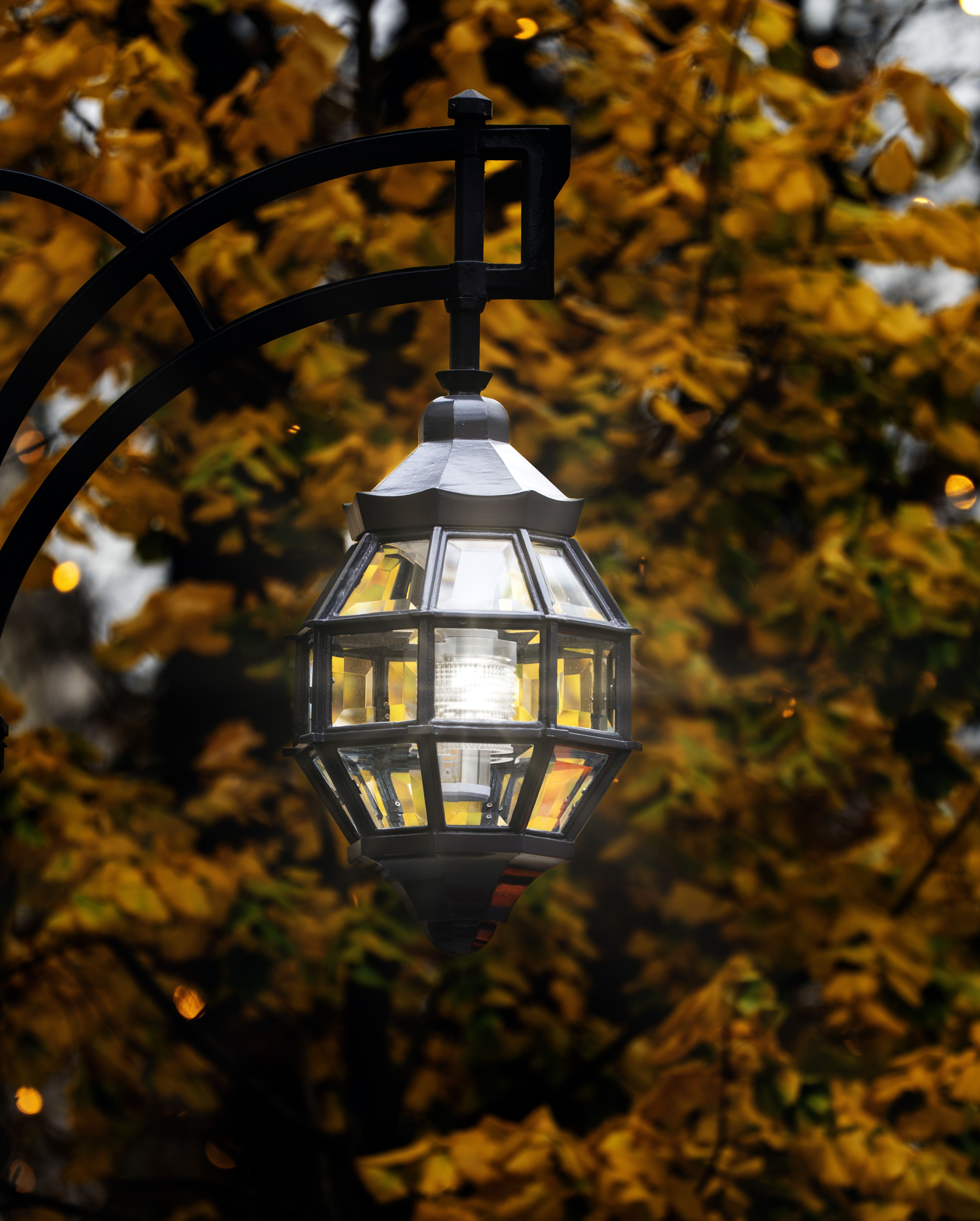 И тоже Дюссельдорф фото превью