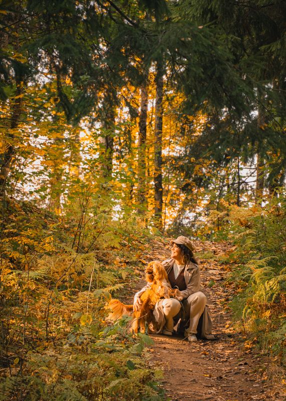 autumn фото превью