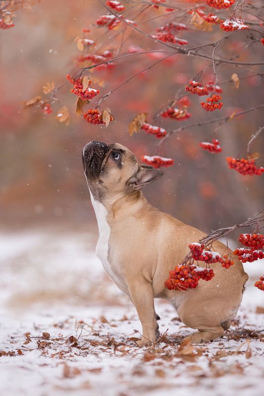 Любопытство не порок фото превью
