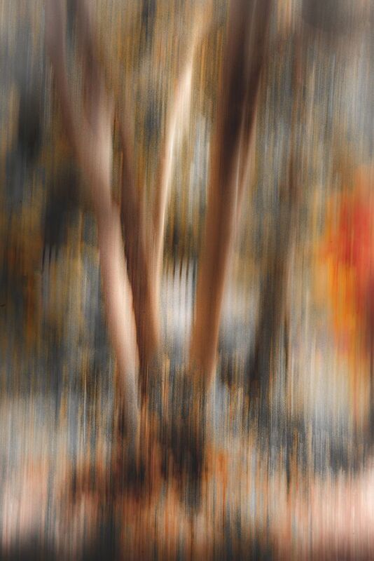 осень, природа, icm V фото превью