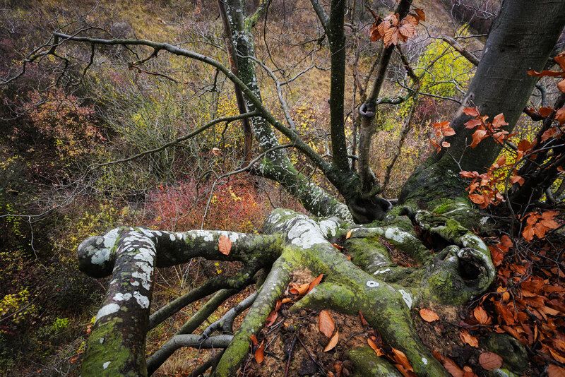 2025 фото превью