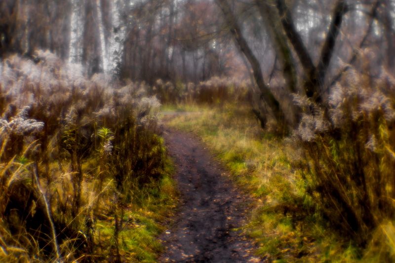 Раскисшие тропинки фото превью