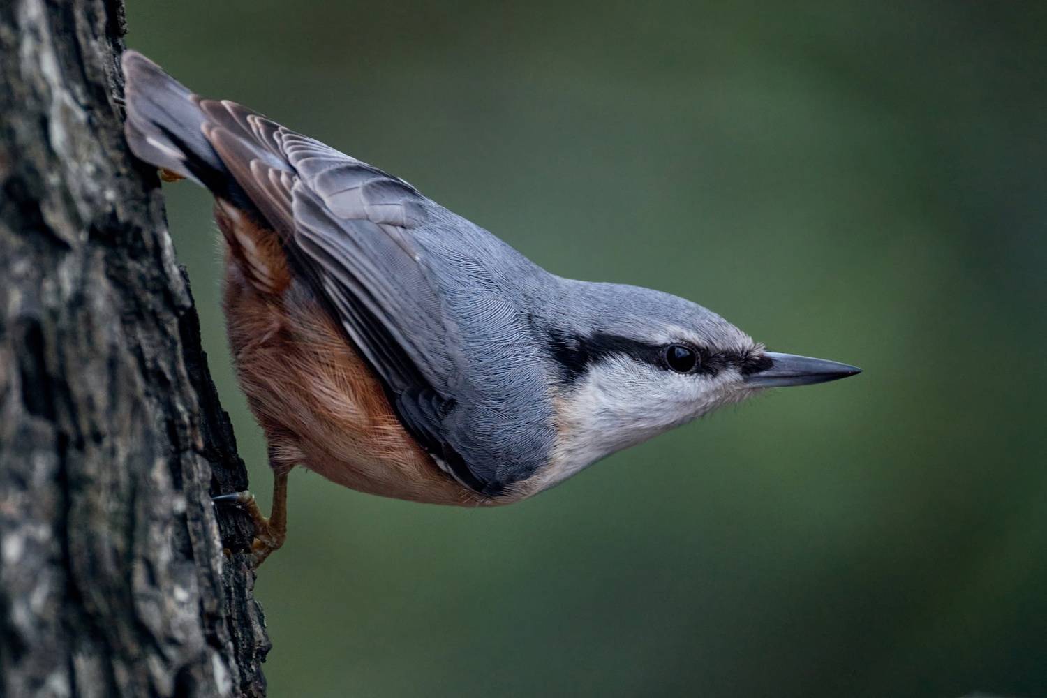 , ssmirs Сергей