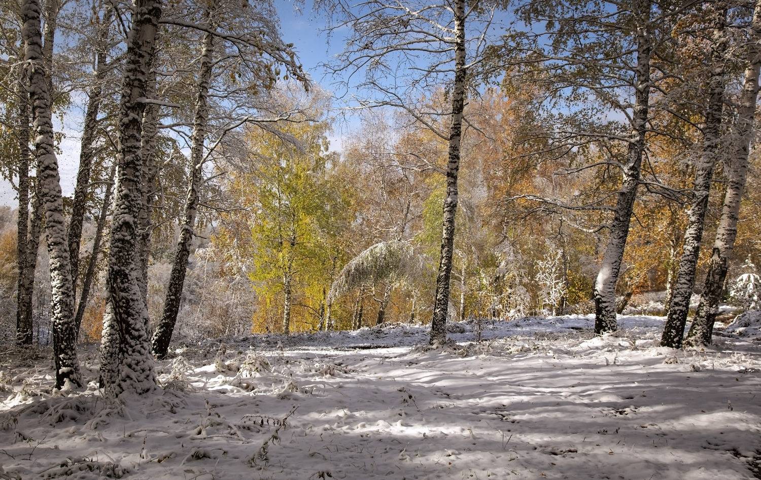 осень октябрь первый снег, Алексей Хахлов