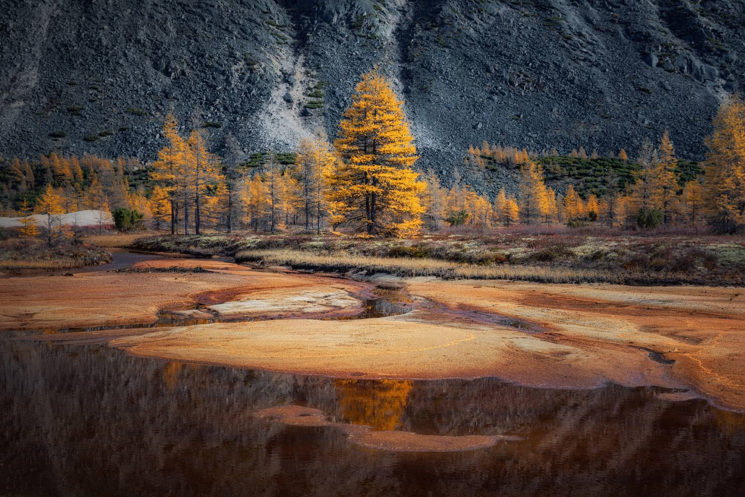 Озеро_Юг пейзажи_Колымы Магаданская_область Колымские_пляжи горная_система_Черского отражения хребет_Оханджа, Дмитрий Шишкин