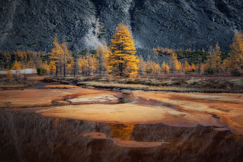 Озеро_Юг пейзажи_Колымы Магаданская_область Колымские_пляжи горная_система_Черского отражения хребет_Оханджа Золото колымских лиственниц фото превью