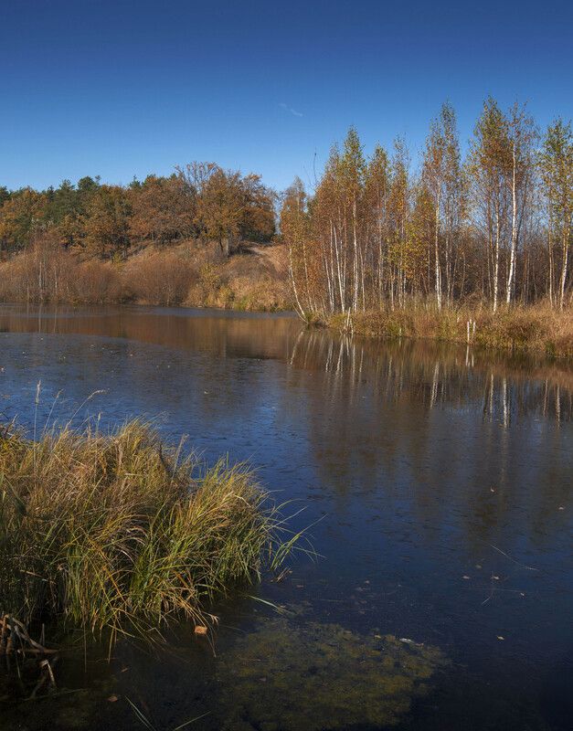 *** фото превью