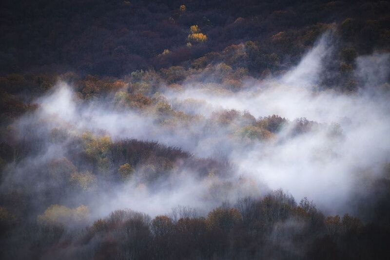 2025 фото превью
