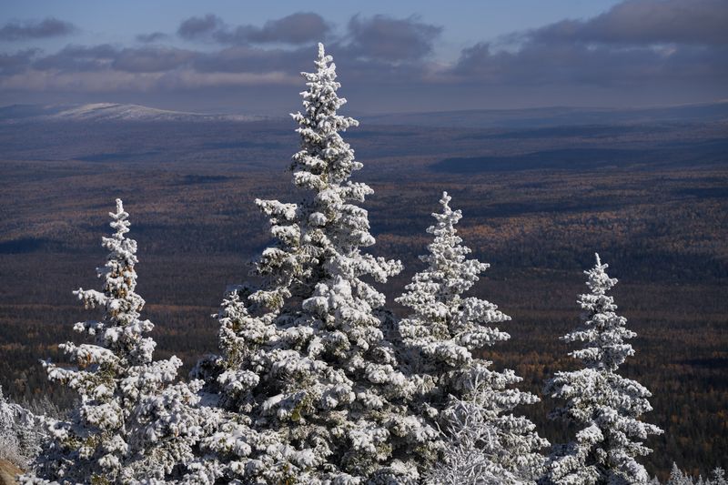 На всех ветрах фото превью