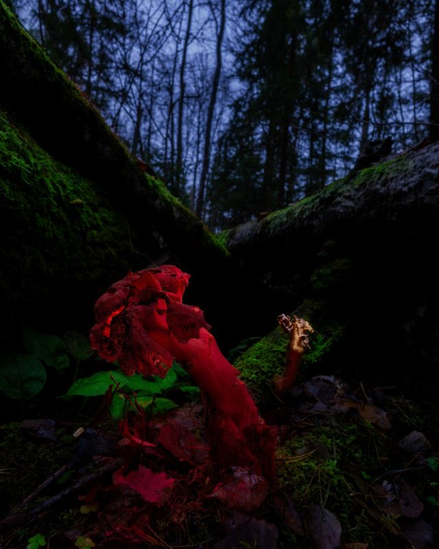 фото превью