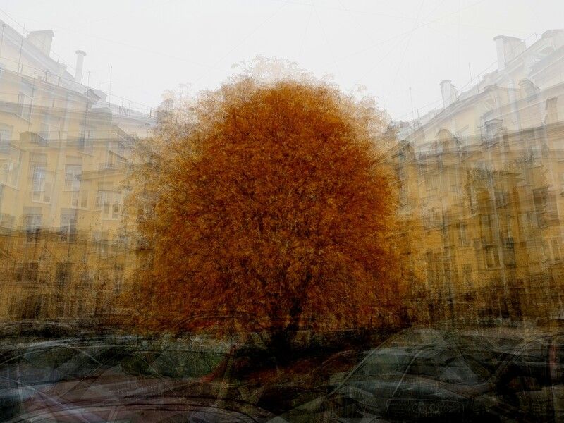 . фото превью