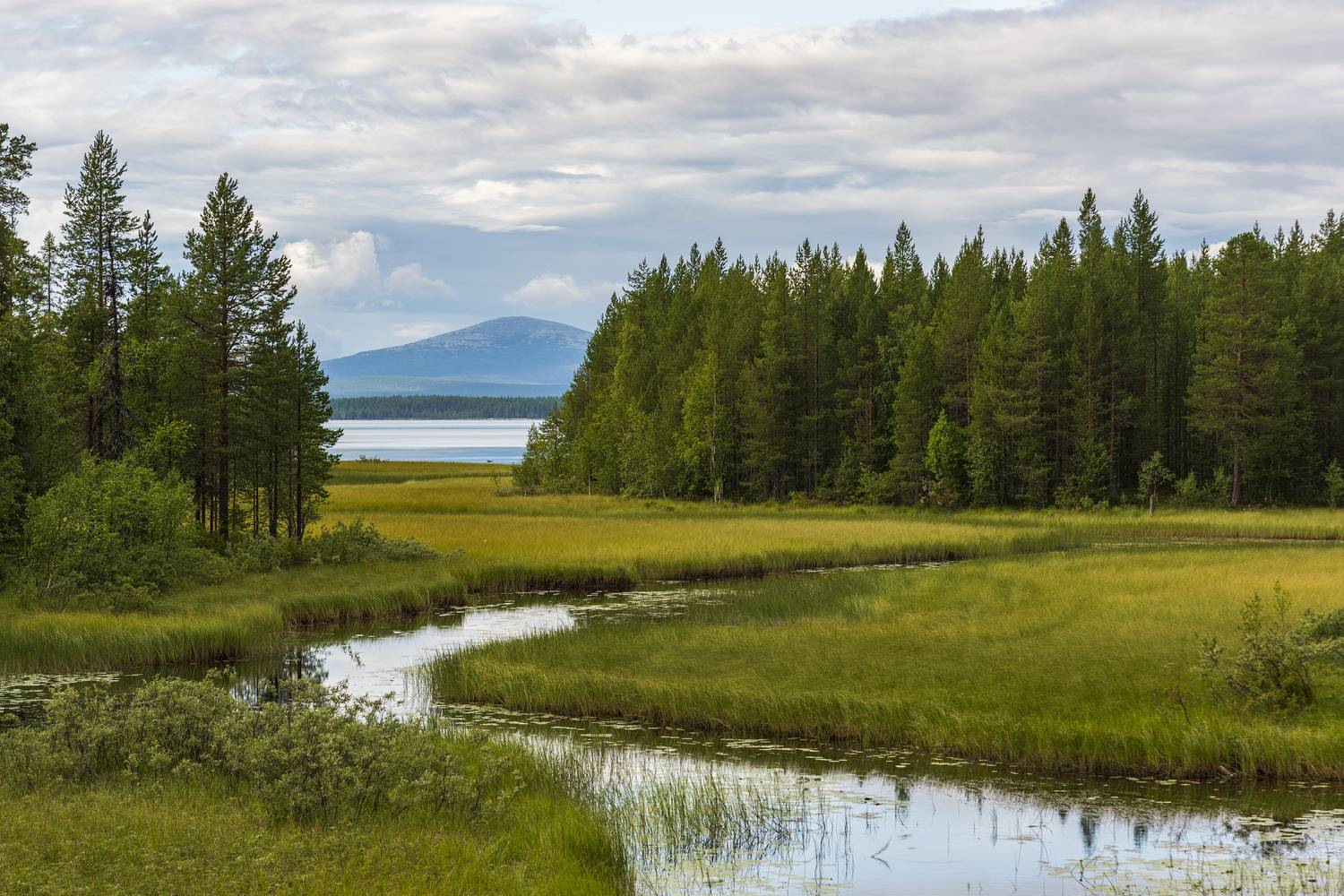 , Дмитрий Новоселов