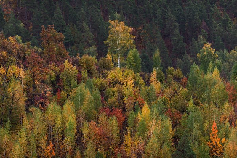 Жигулевские горы фото превью