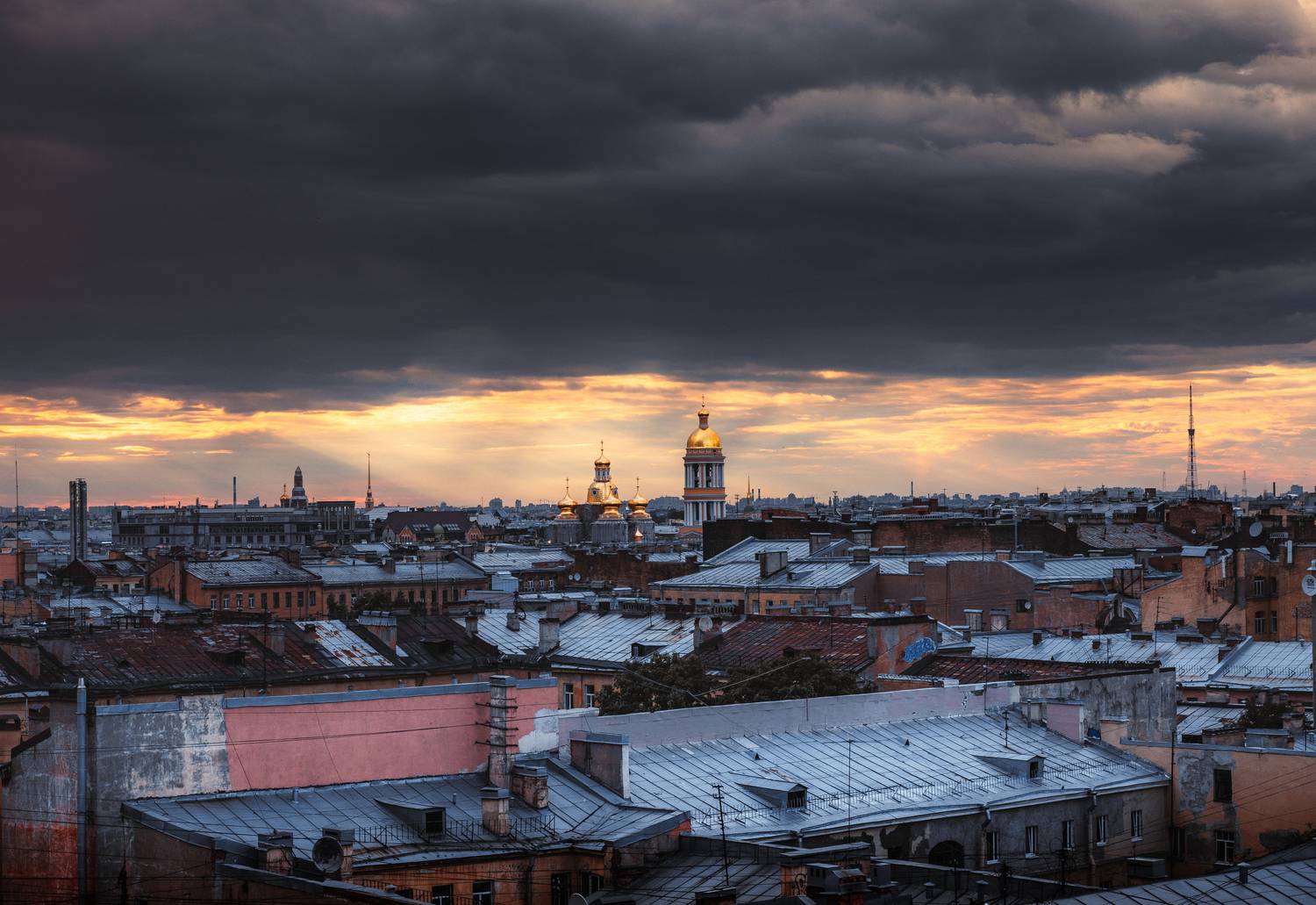 , Трепольский Дмитрий