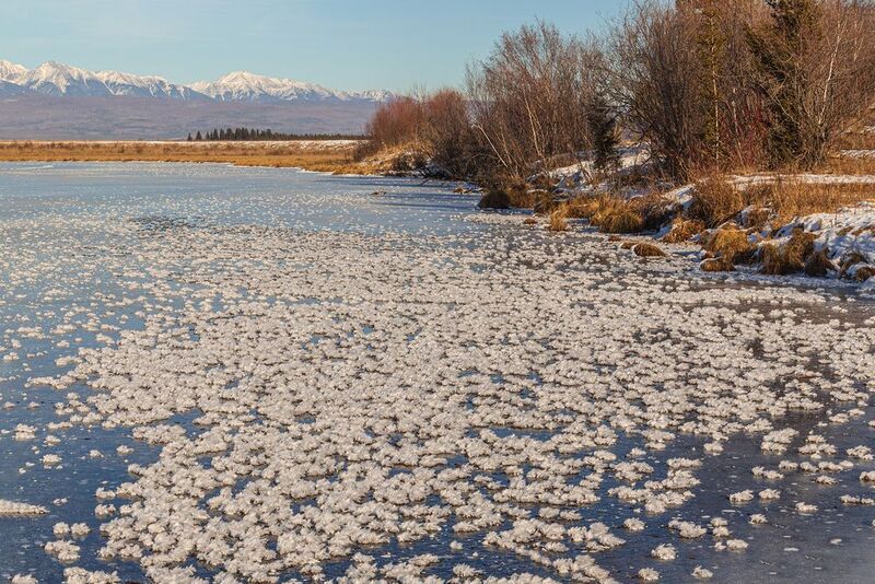 Инеевые цветы фото превью