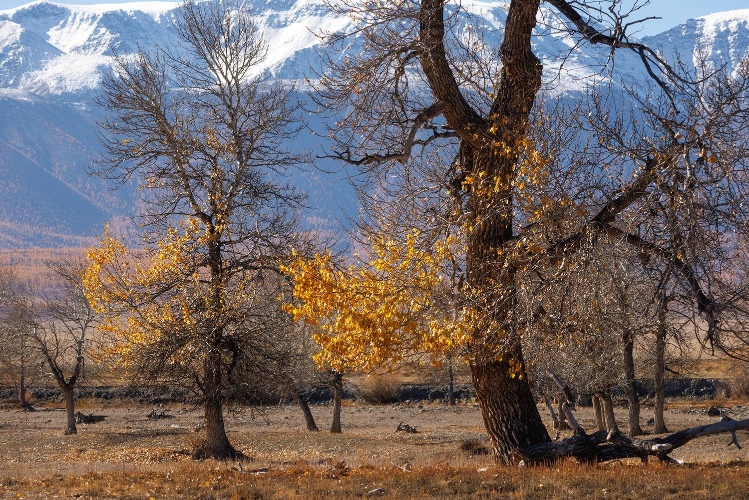, Морозов Сергей
