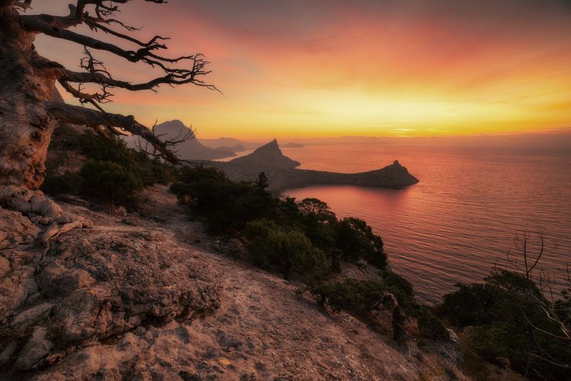 *** фото превью