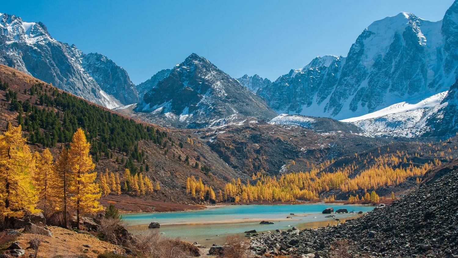 алтай, семёновское, озеро, мечта, красавица, сказка, осень, лиственницы, Мальцев Юрий
