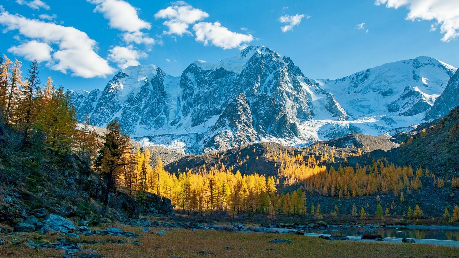 алтай, семёновское, озеро, мечта, красавица, сказка, осень, лиственницы, вечер, Мальцев Юрий