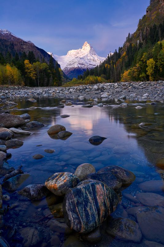 Белалакая фото превью