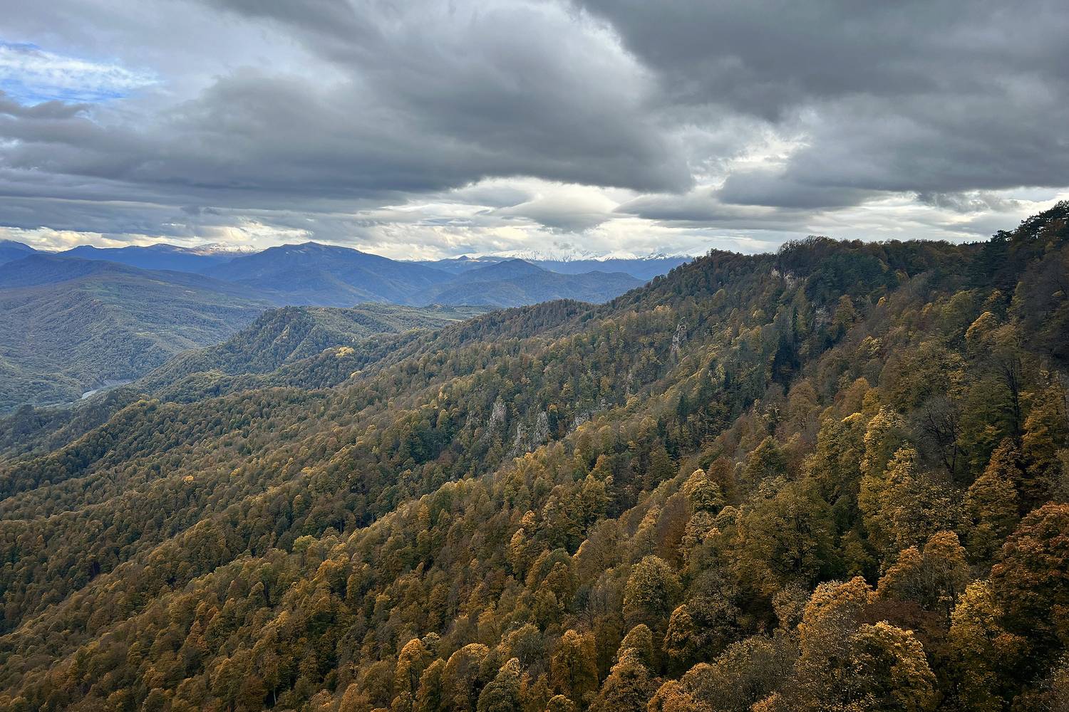 , Худзинская Ирина