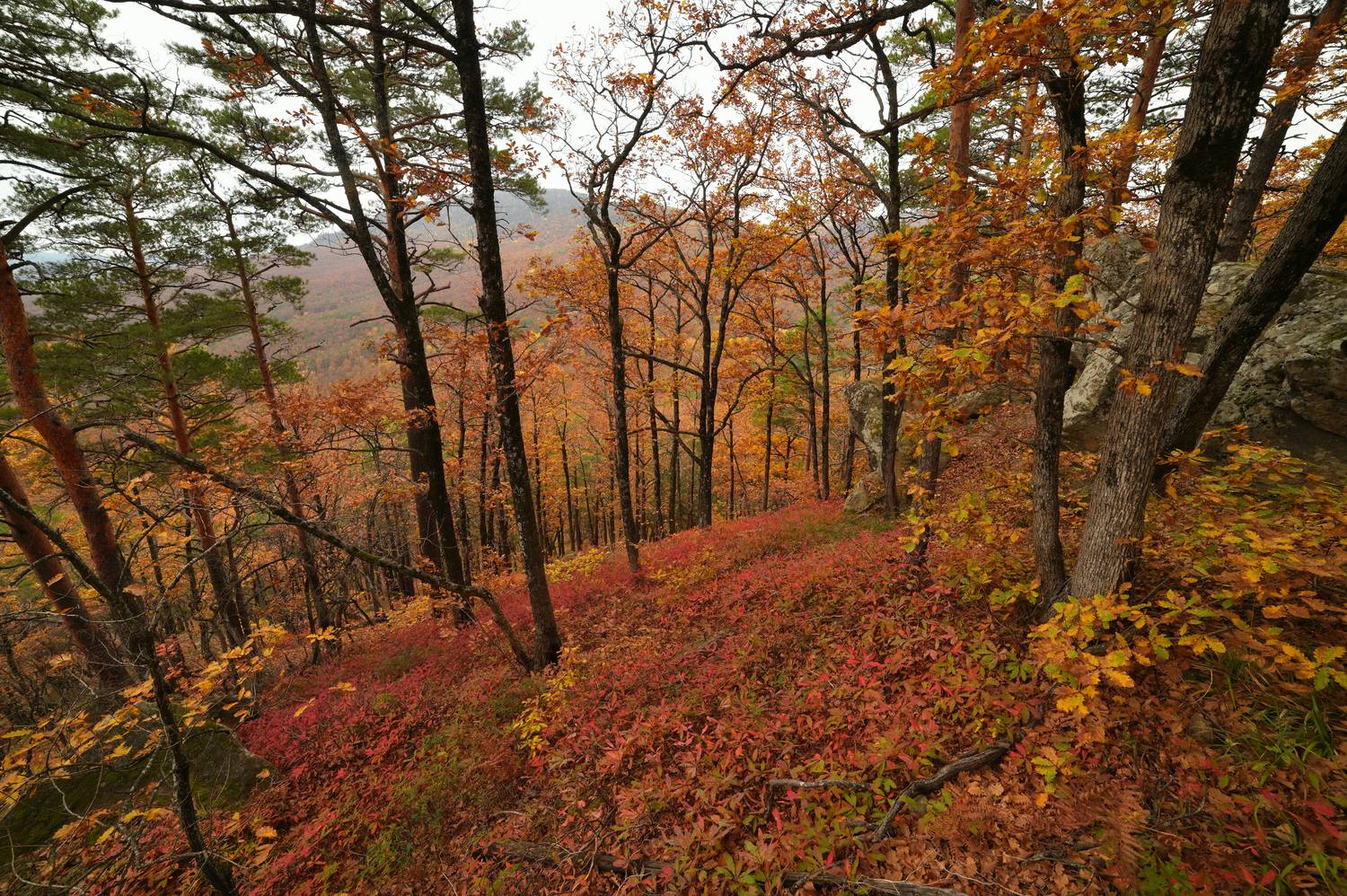 , Сергей Тихомиров