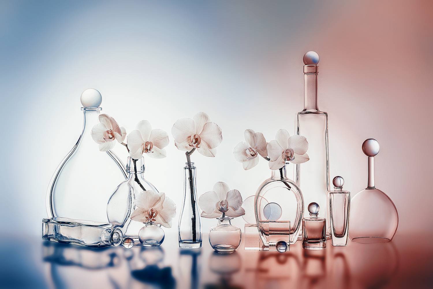 , MVO (Марк Орлов)