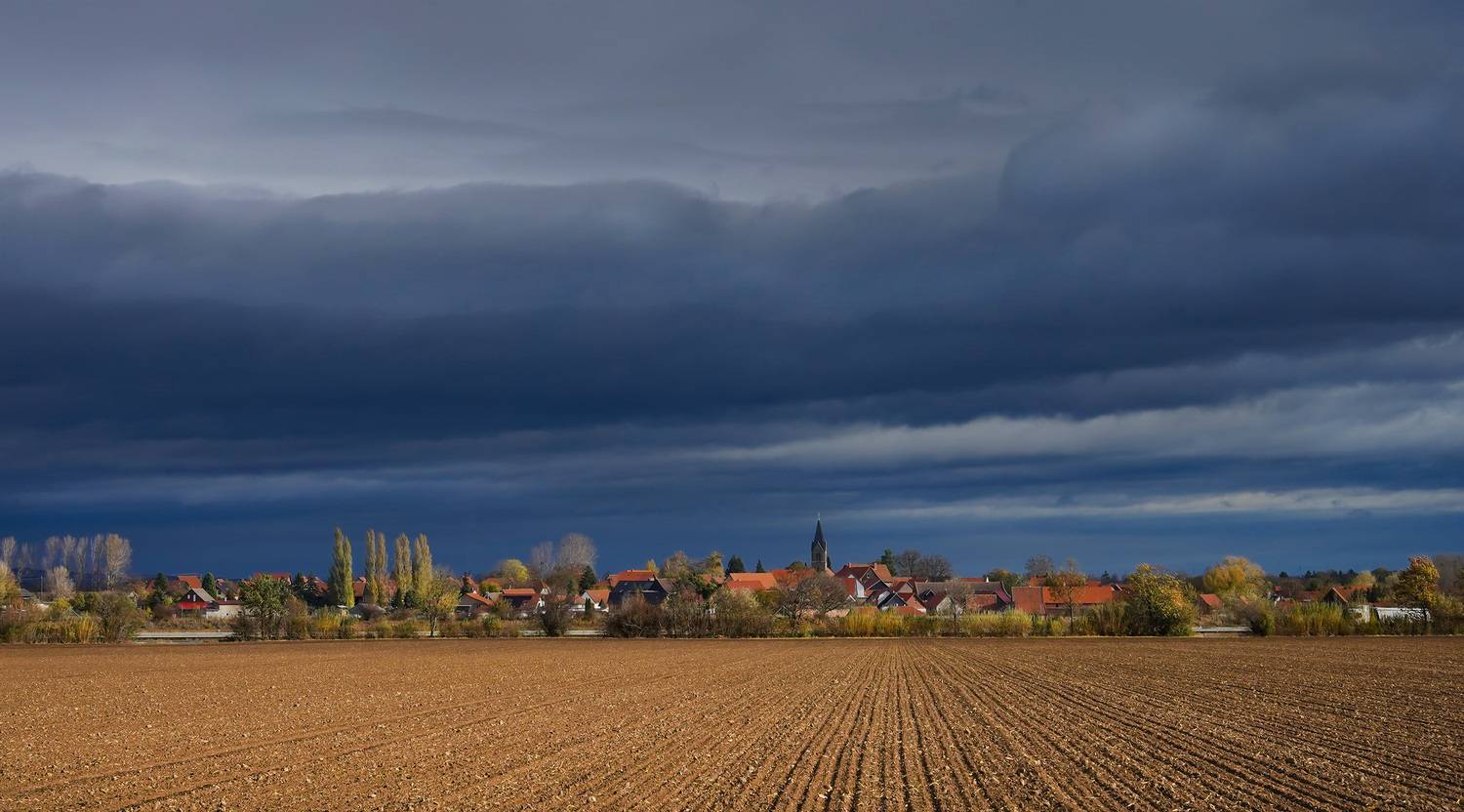 , Игорь Дубровский