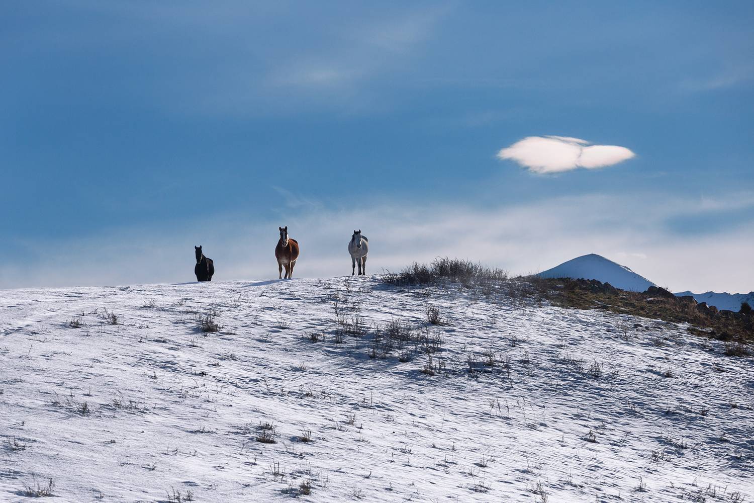 кыргызстан, урочище чункурчак, Элина Магалимова