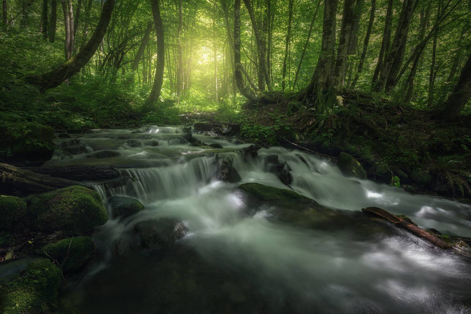 красная поляна, сочи, краснодарский край, Смольский Евгений