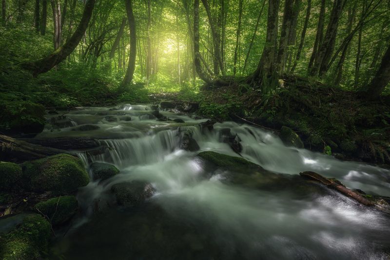 красная поляна, сочи, краснодарский край  фото превью