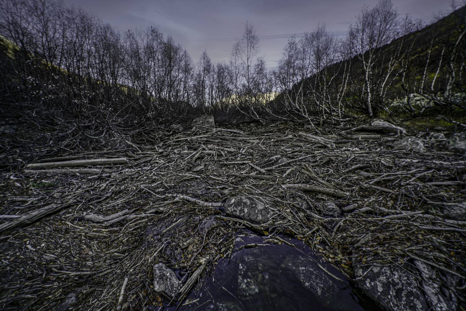 Россия, Карачаево-Черкессия, Домбай, Тебердинский заповедник, Бадукские озера, Гаврилов Юрий