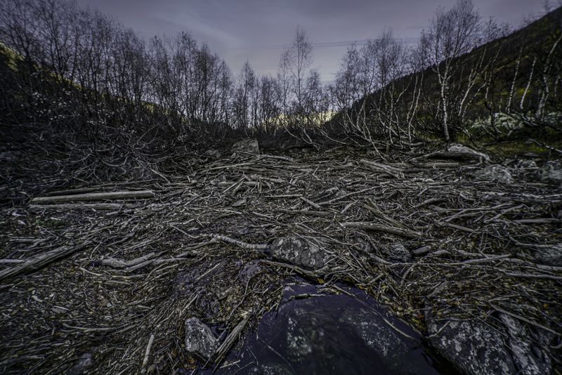 Россия, Карачаево-Черкессия, Домбай, Тебердинский заповедник, Бадукские озера Бадукские озера фото превью