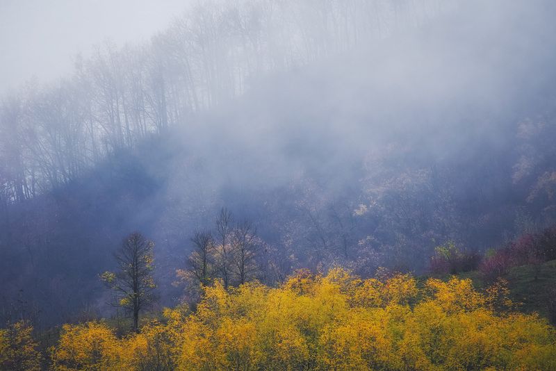 2025 фото превью